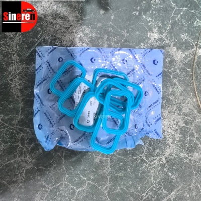 Intake Manifold Gaskets 2C1Q-9448-A1C for JMC VIGUS